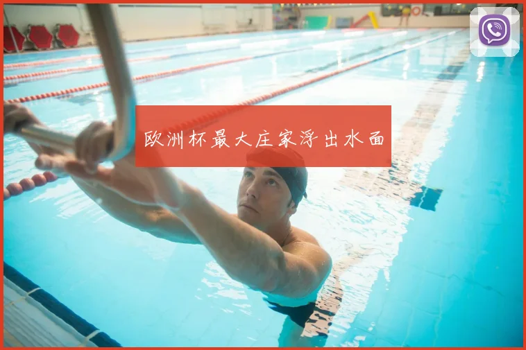欧洲杯最大庄家浮出水面