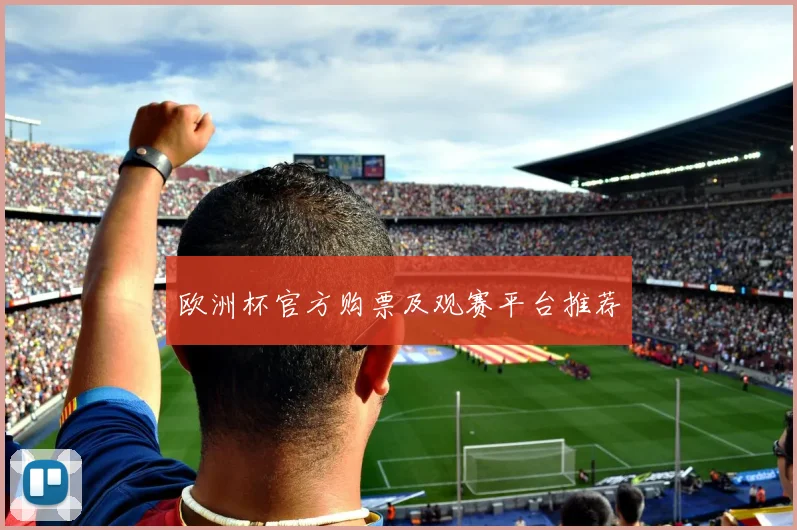 欧洲杯官方购票及观赛平台推荐
