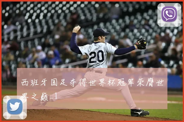 西班牙国足夺得世界杯冠军荣膺世界之巅_1