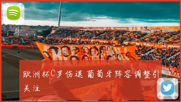 欧洲杯C罗伤退 葡萄牙阵容调整引关注