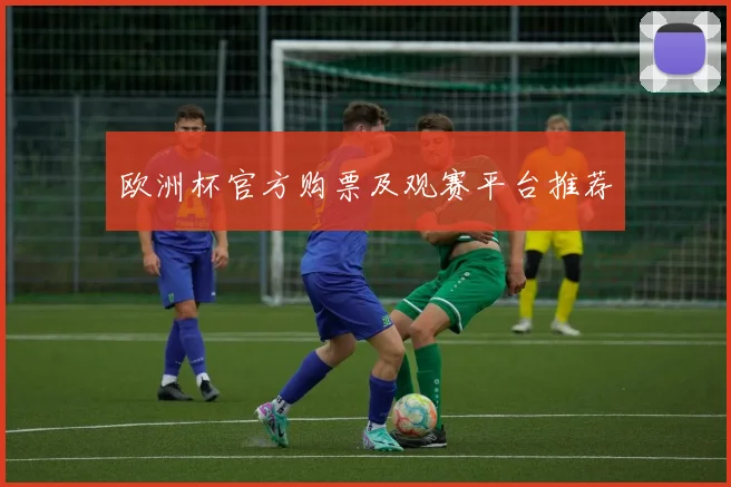 欧洲杯官方购票及观赛平台推荐