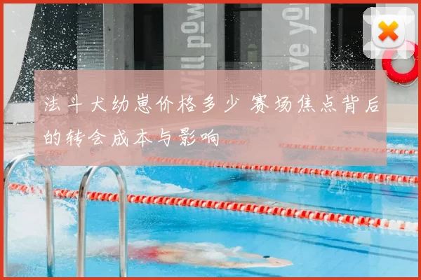 法斗犬幼崽价格多少 赛场焦点背后的转会成本与影响