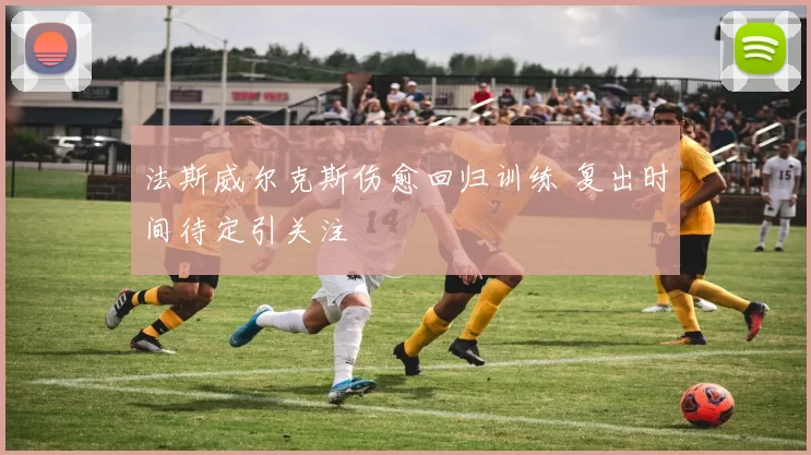 法斯威尔克斯伤愈回归训练 复出时间待定引关注