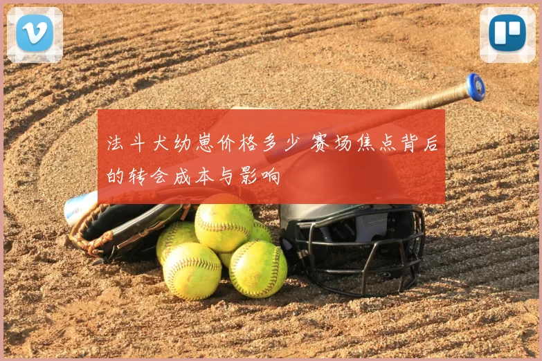 法斗犬幼崽价格多少 赛场焦点背后的转会成本与影响